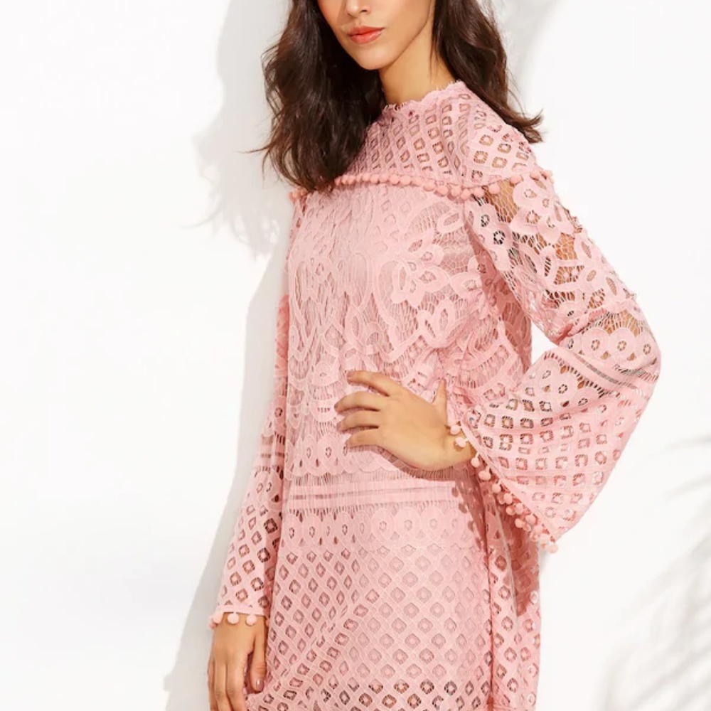 Pink lace and pom pom dress - Picture 4 of 6